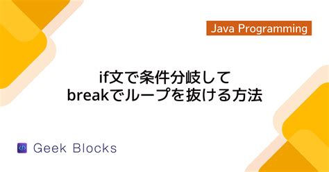 For Java Example に対する画像結果
