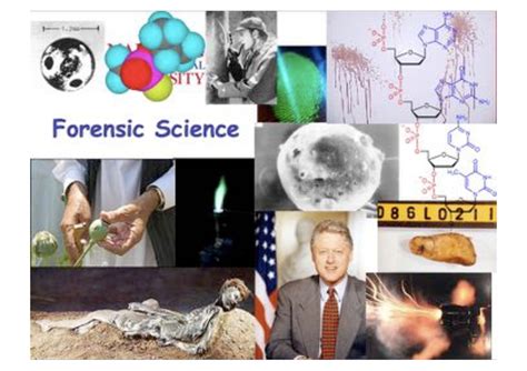 Image result for Forensics Intro