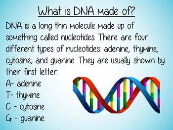 Image result for Science Lessons DNA