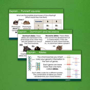 Image result for Genetic Inheritance Free Science Lessons