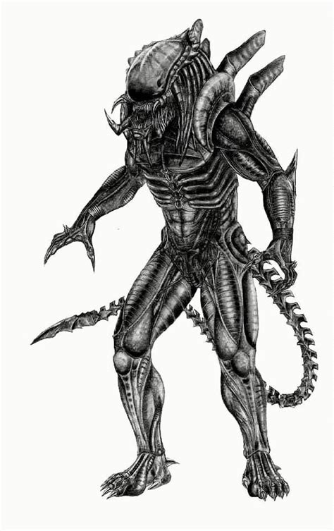 Alien vs Predator Predalien に対する画像結果