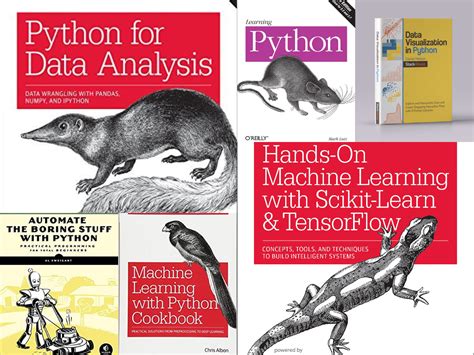 Image result for Python for Data Analysis PDF