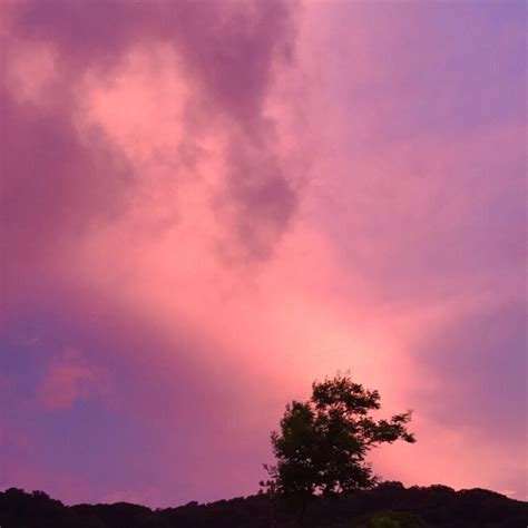 Python-Matplotlib Stream Line Function に対する画像結果