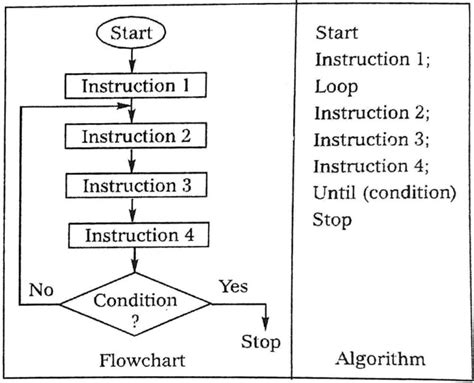 Image result for Simple Algorithm Using Loop