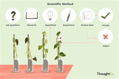 Image result for Basic Scientific Method