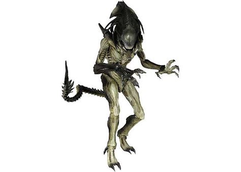 Image result for Alien vs Predator Predalien