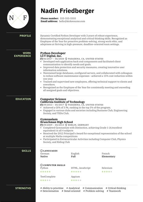 Image result for Full-Stack Python Developer Sample Resume