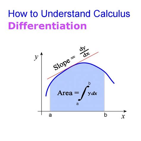 Image result for Basic Calculus Tutorial