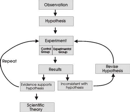 Image result for Basic Scientific Method