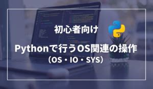Python System Code に対する画像結果