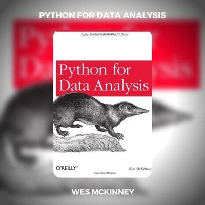 Image result for Python for Data Analysis PDF