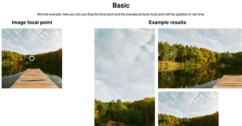 Image result for Basic Examples