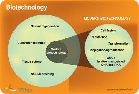 Biotechnology Definition に対する画像結果