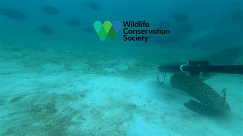 Afbeeldingsresultaten voor Technology Footages