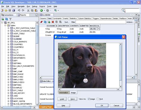 نتيجة الصورة لـ Oracle SQL Developer