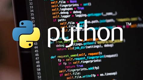 Image result for Python Language Code