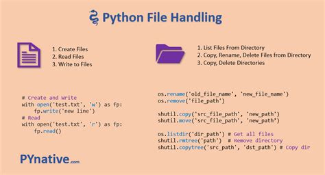 Image result for File Reader Python