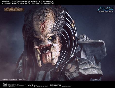 Image result for Alien vs Predator Scar