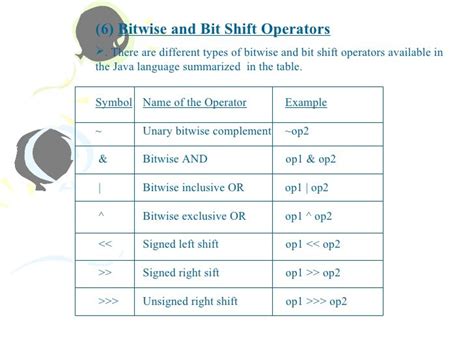 Image result for Java Video