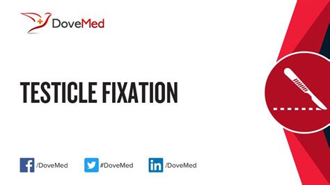 Image result for Testicles Surgery