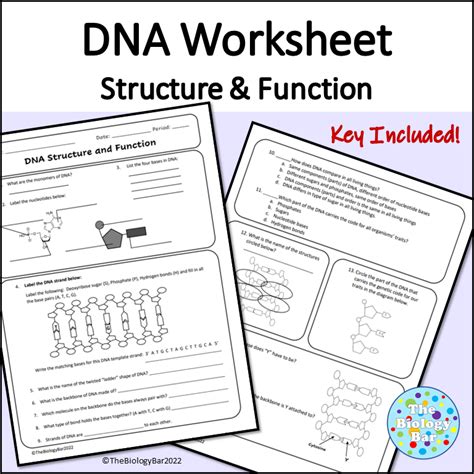 Image result for Science Lessons DNA