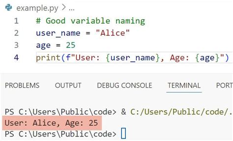 Afbeeldingsresultaten voor Coding Examples of Variables Python