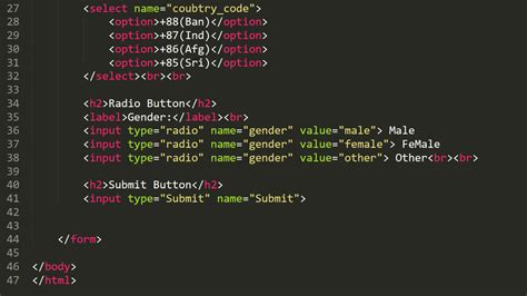 Code for HTML Forms に対する画像結果