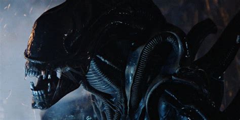 Image result for Alien Films