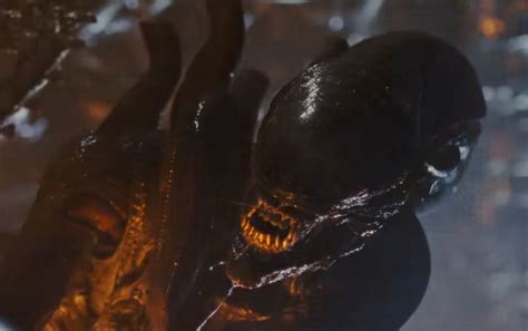 Image result for Alien Sequel