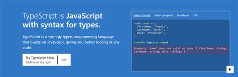 Image result for How to Convert JavaScript to TypeScript