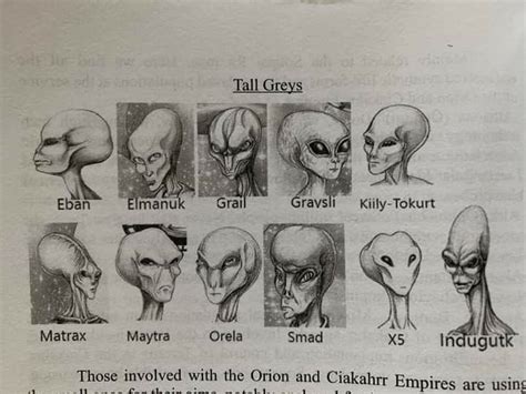 Image result for Alien Types