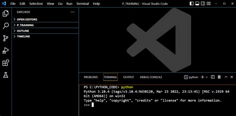 Python Shell Command に対する画像結果