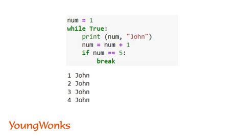 Image result for Python While Statement Example