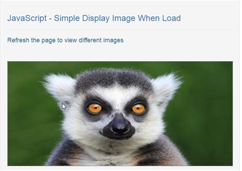 Image result for JavaScript Display Image
