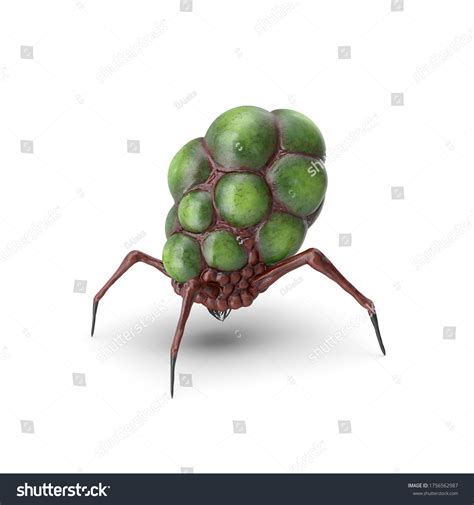 Alien Bug に対する画像結果