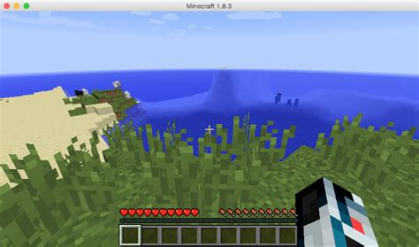 Toradh íomhá ar Code Serveur Minecraft Java