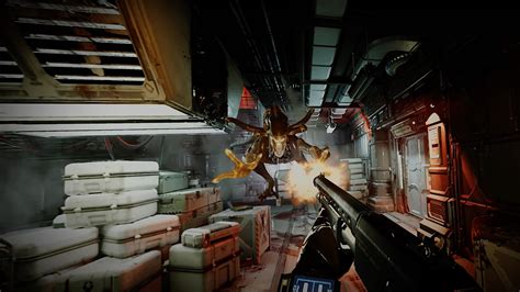 Image result for Alien Rogue Incursion VR
