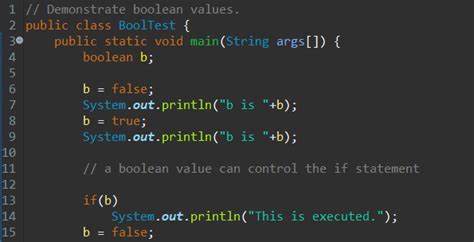 Image result for Java Data Type Using Boolean