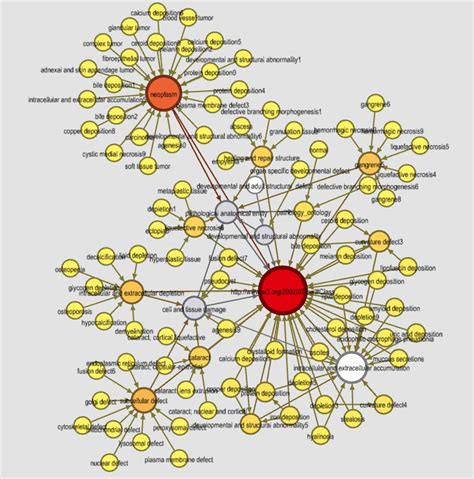 Knowledge Graph Python Library に対する画像結果