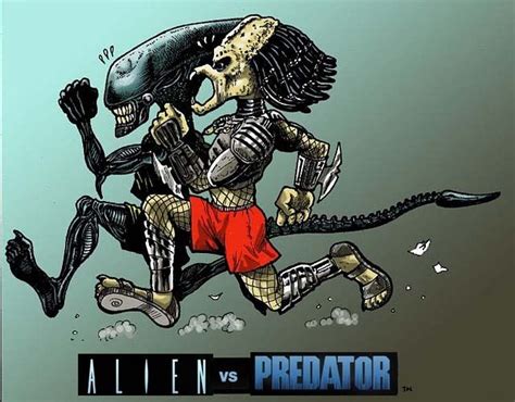 Image result for Alien vs Predator Funny