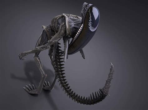 Image result for Alien Xenomorph Model