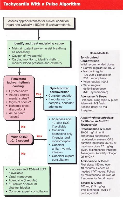 Image result for ACLS Algorithms