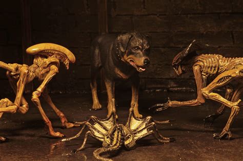 Image result for Alien Dog Scene