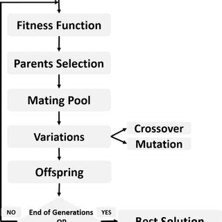 Image result for Genetic Algorithm Python