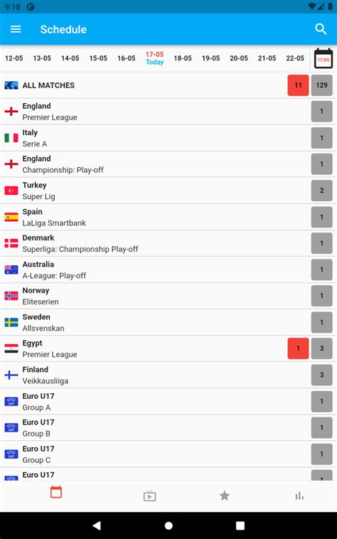 Image result for Install Flash Scores