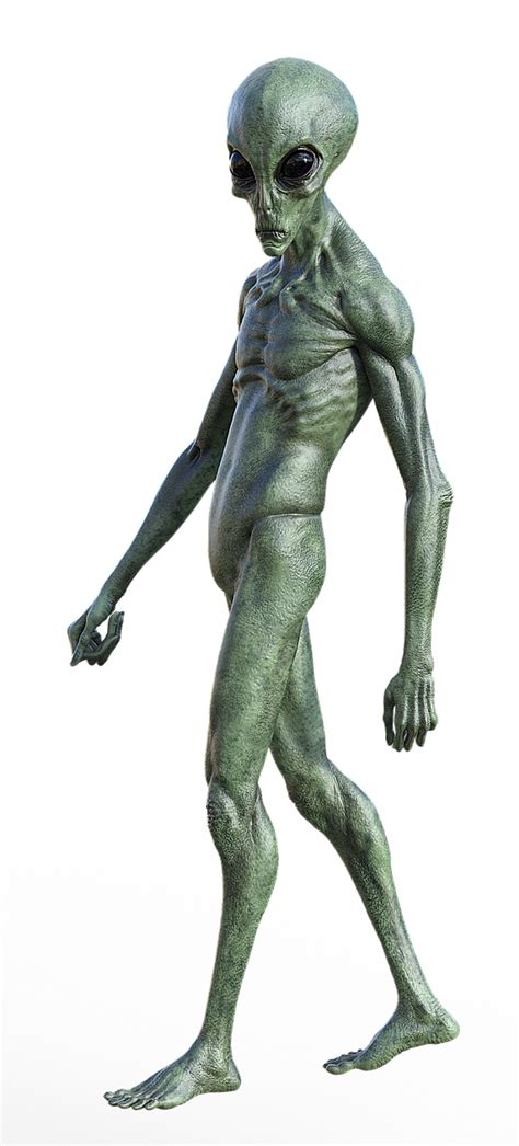 Image result for Alien Copiright Free