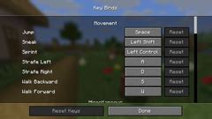 Image result for Minecraft Java Options Menu