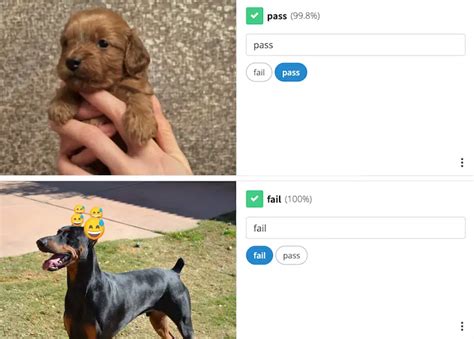 Image result for Computer Vision Classification Example