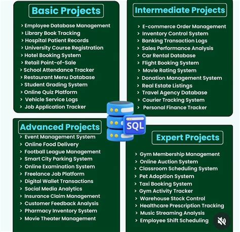 Image result for Advanced SQL Projects