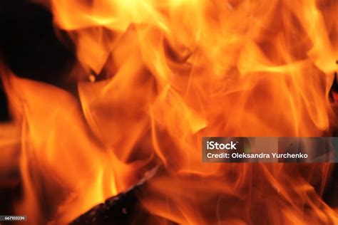 Image result for Fire Berning